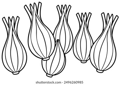 Fennel Bulb line art stylish vegetable artwork