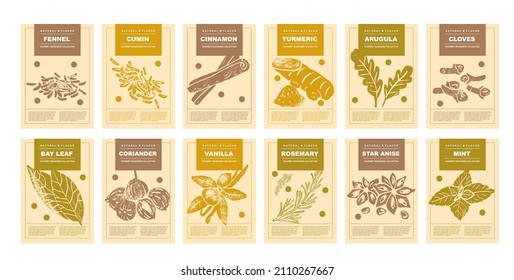 Fennel, cumin, cinnamon, turmeric, arugula, cloves, bay leaf, coriander, vanilla, rosemary, star anise, mint. Set of posters of spices and herbs for food preparing and culinary in a abstract design