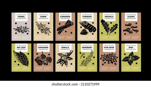 Fennel, cumin, cinnamon, turmeric, arugula, cloves, bay leaf, coriander, vanilla, rosemary, star anise, mint. Set of posters of spices and herbs for food preparing and culinary in a abstract design