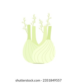 Fennel. Flat style. Vector illustration 