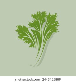 Fennel Flat Vector Art Herb, Vegetable, Cooking, Ingredient, Icon.