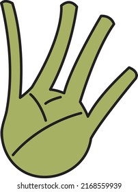 Fennel flat vector illustration. Line outline color icon for web app. Minimalist style ingridient.