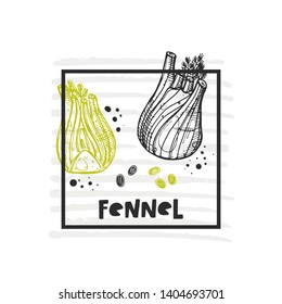 Fennel. Hand drawn realistic vector illustration. Organic vegetable. Eco food. Farm market product. Isolated white background. Can be used for shop, menu, card, poster, label