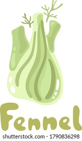 Fennel head, organic food. Healthy and vegan food. Fennel bulb vector food clipart illustration. Cute culinary herb icon. Cartoon icon for menu design, packaging, cooking book, web design.
