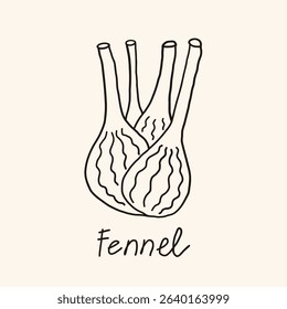 Fennel herbaceous plant sketch ink on isolated background. Hand drawn herb Dill, food ingredient, greenery. Vector illustration in minimalist line art style for logo, label, card, wrapping, packing