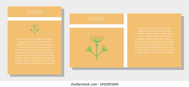 El hinojo. Banner informativo o etiqueta en dos diseños. Descripción y propiedades útiles del hinojo. Plantilla para aceite esencial, especias. Folleto con espacio vacío para texto.