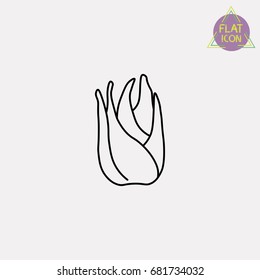 fennel line icon