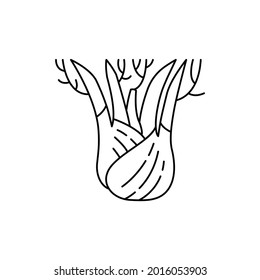 Fennel сolor line icon. Essential oils fruit seeds. Pictogram for web page, mobile app, promo. UI UX GUI design element. Editable stroke.