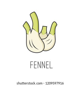 Fennel line vector illustration, cooking isolated icon.