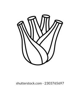 Fennel root plant. Hand drawn sketch vector illustration isolated on white. Fennel Doodle design 