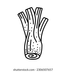 Planta de raíz de hinojo. Dibujo manual de la ilustración vectorial aislada en blanco. Diseño de Fennel Doodle 