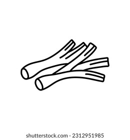 Planta de raíz de hinojo. Dibujo manual de la ilustración vectorial aislada en blanco. Diseño de Fennel Doodle 