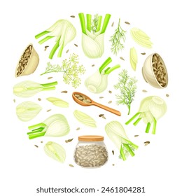 Fennel Round Composition Design with Edible Condiment Vector Template