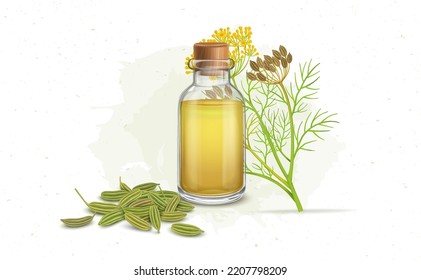 Fennel seeds oil with green herbal fennel seeds and plant -vector illustration