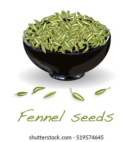 Fennel Seeds Vector On White Background