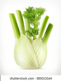 Fennel, Vector Object