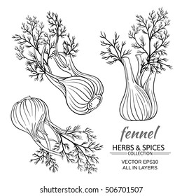 Fennel Vector Set