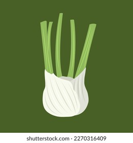 Fennel vegetable flat vector illustration. Cute organic fennel vegetable cartoon vector illustration for graphic design and decorative element