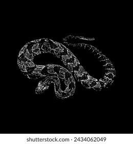 Fer-de-lance Snake hand drawing vector isolated on black background.