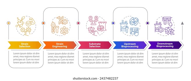 Fermentation bioprocessing rectangle infographic template. Data visualization with 5 steps. Editable timeline info chart. Workflow layout with line icons. Myriad Pro-Bold, Regular fonts used
