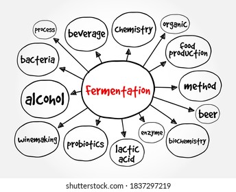 Fermentation mind map, concept for presentations and reports