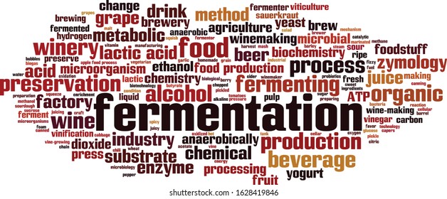 Fermentation word cloud concept. Collage made of words about fermentation. Vector illustration