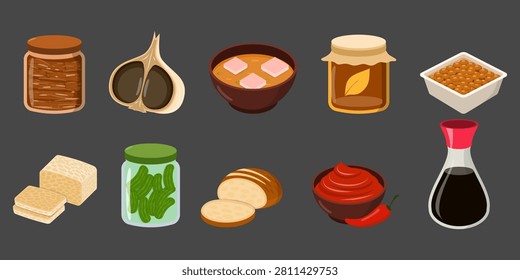 Fermented Foods Illustration Vector Set