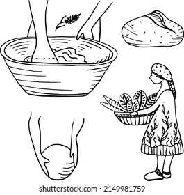 Fermented sourdough bread vector illustration set. Slow fermentation bread process. People making bread. Basket of artisan bread. Hand made drawings.