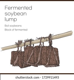 fermented soybean lump / block of fermented soybeans / boil soybeans