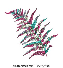 Fern abstract object. Vector illustration