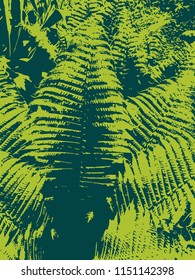Fern background. Floral texture. Vector illustration.