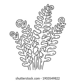 Fern black and white vector illustration in the flat style.