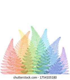 Fern bracken background. Colorful detailed vector illustration with space for text. Elegant greeting card
