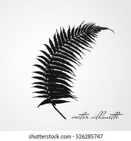 Fern branch black silhouette nature tropical illustration