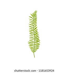 Fern branch with bright green leaves. Wild forest plant. Natural element. Flat vector for botanical book, fabric or poster
