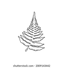 Fern-Fern-Endloslinienzeichnung. Eine Linie von Blättern, Kräutern, Dschungel botanisch.