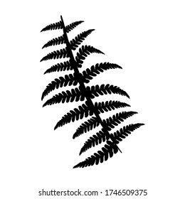 fern branch in simple style black silhouette isolated on white background