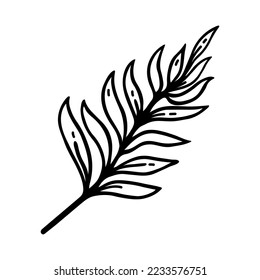 Fern branch vector icon. Simple black doodle of a twig with leaves. Hand drawn illustration isolated on white. A wild forest plant, herb. Clipart for cards, posters, cosmetics, logo, web, print