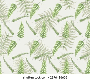 fern branches pattern isolated on half white background. flat lay, top view,seamless pattern with fir tree branches, green branches with leaves Botanical tropical fern leaves,