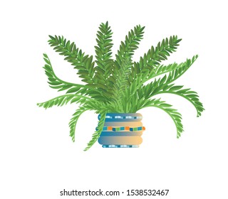 Fern in a ceramic, flower pot with mosaic.
For home and office decor. Isolated image on a white background. Vector graphics.