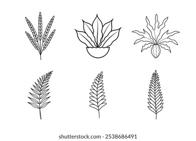 Fern Collection Line Art Bundle – Maidenhair, Sword, Bird’s Nest, Staghorn, Boston, and Asparagus Fern