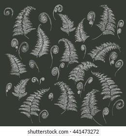 Fern drawing doodle elements white chalk sketch forest herbal leaves set.