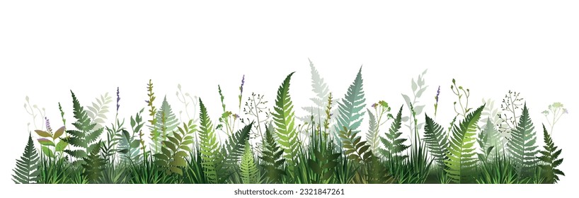 Fern field illustration. Background with green fern leaves and herbs. Vector illustration.