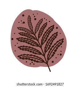 Fern flower. Plants and botanical illustrations. Simple vector illustration.