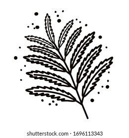 Fern flower. Plants and botanical illustrations. Simple vector illustration.