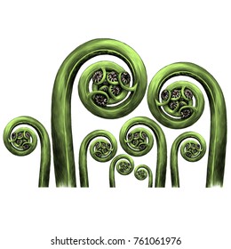 fern flowers spiral sprouts leaf set sketch vector graphics color picture