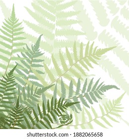 Fern font leafs tropical forest vector isolated. colourful leaves background, flat design. Pastel colours. stock illustration