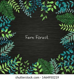 Fern forest on blackboard background vector for decoration for spring season.