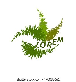 Fern Frame. Vector