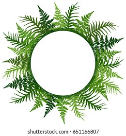 Fern frond frame circle vector illustration. Polypodiophyta plant leaves decoration on white background. Detailed ferns drawing, tropical forest herbs, fern frond grass round border.